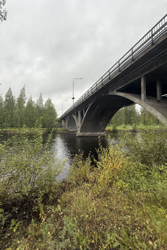 Silta, joka ylittää joen vehreän kasvillisuuden ympäröimänä.