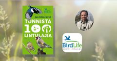 Södersvedin kirja ottaa uutta harrastajaa kädestä ja johdattelee lintujen tunnistamisen maailmaan.