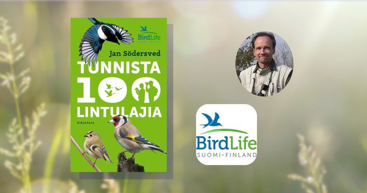 Södersvedin kirja ottaa uutta harrastajaa kädestä ja johdattelee lintujen tunnistamisen maailmaan.