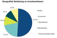 Grafen visar den geografiska fördelningen av Finlands dollarlån.