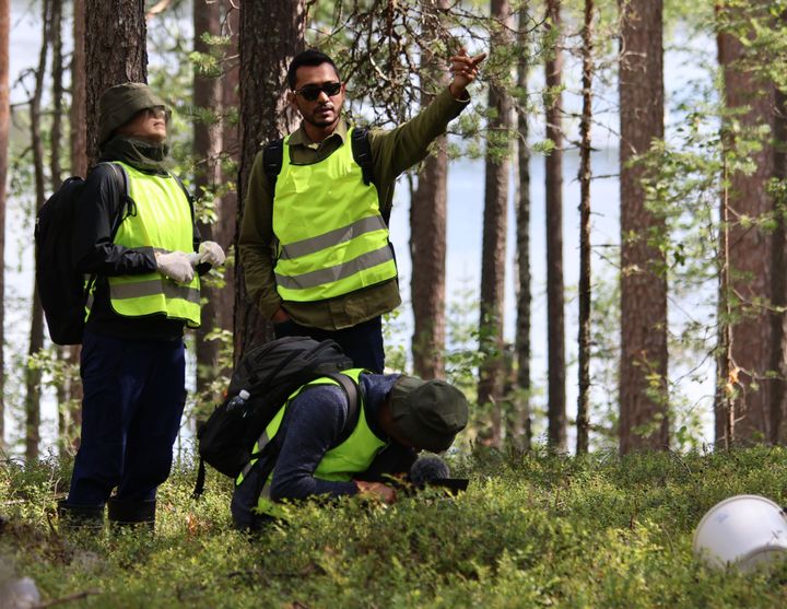 Kolme ihmistä marjametsässä huomioliivit päällä.