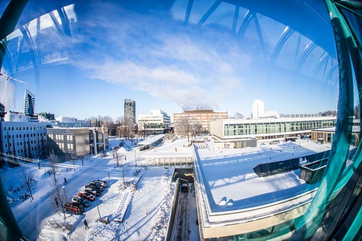 Kuva: Jonne Renvall/Tampereen yliopisto