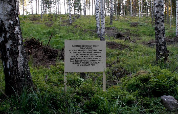 Kyltti metsässä, jossa on teksti mielikuvituksen aktivoimisesta ja luontosuhteesta.