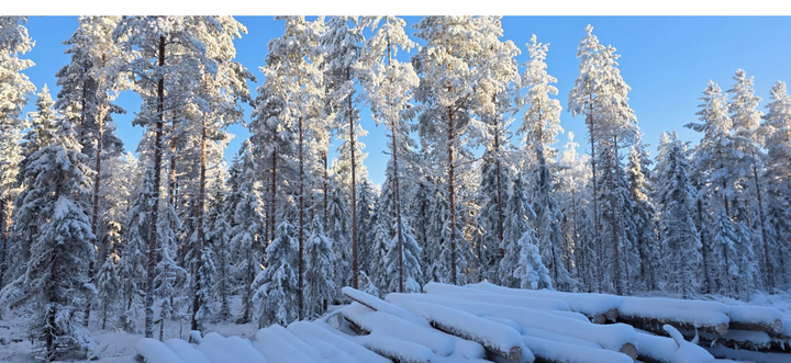 Kauppaa käytiin eniten pienistä, alle 20 hehtaarin kohteista.