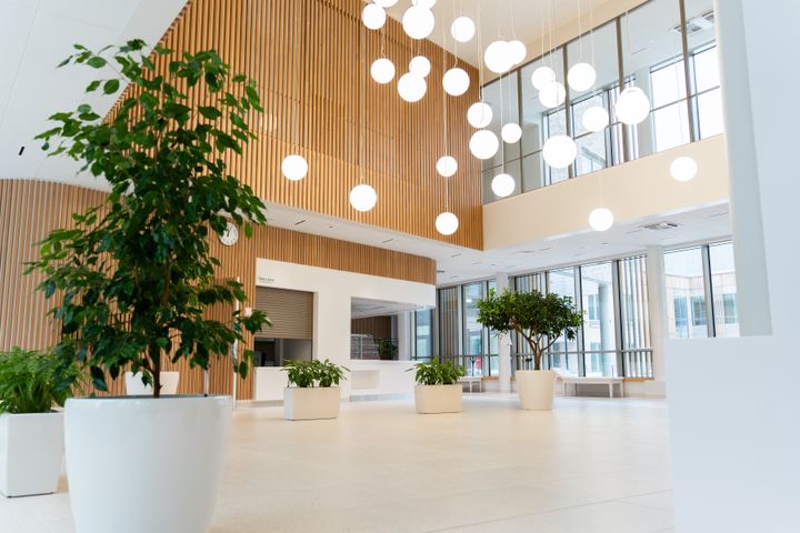 Valoisa aulatila, jossa on korkeat ikkunat ja viherkasveja.