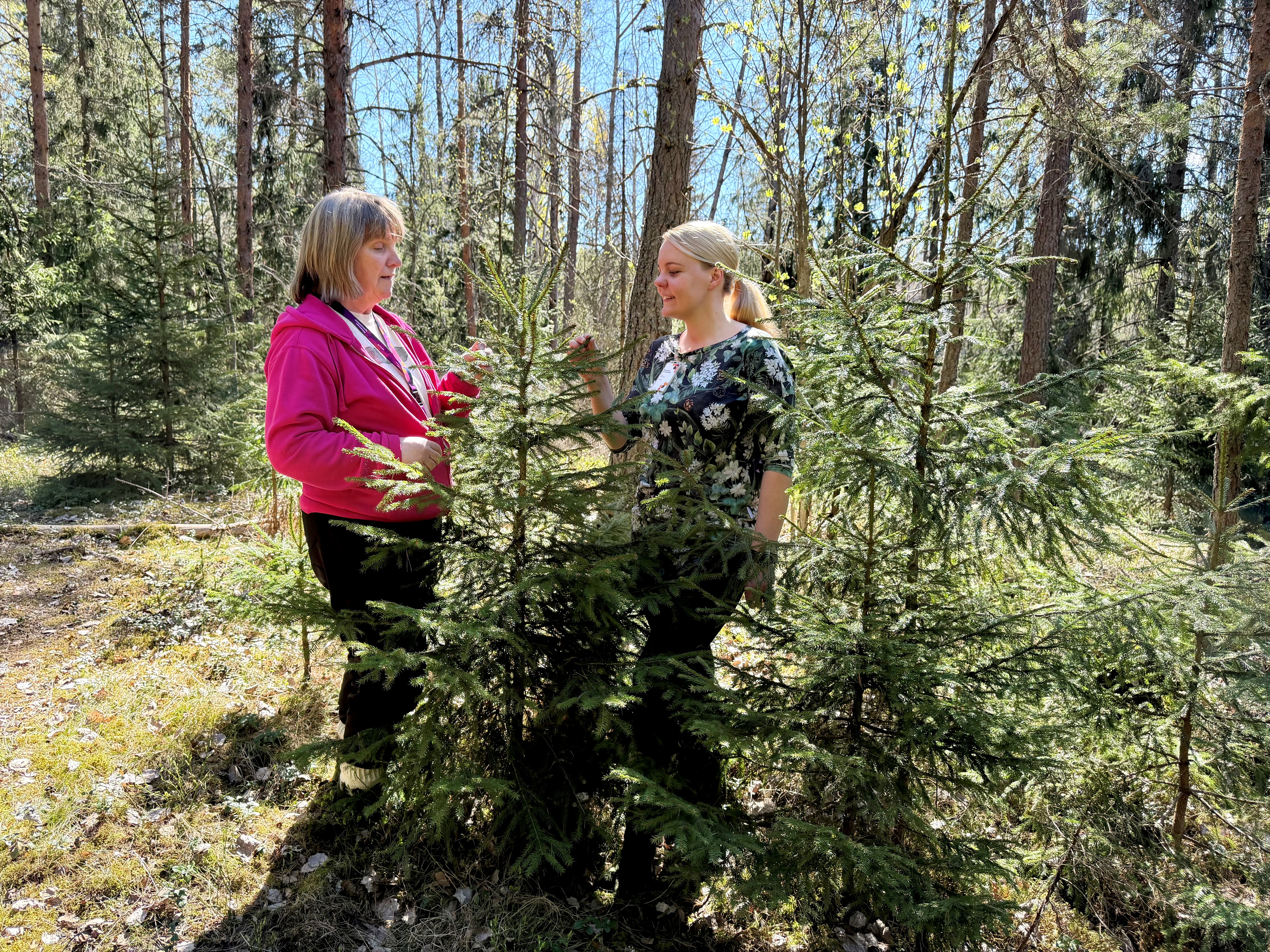 Tays hyödyntää metsäretkiä psykiatrian potilaiden kuntoutuksessa