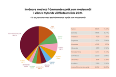 Invånare med ett främmande språk som modersmål i Västra Nylands välfärdsområde 2024.