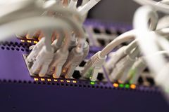 Lähikuva verkkolaitteeseen kytketyistä Ethernet-kaapeleista ja vilkkuvista merkkivaloista.