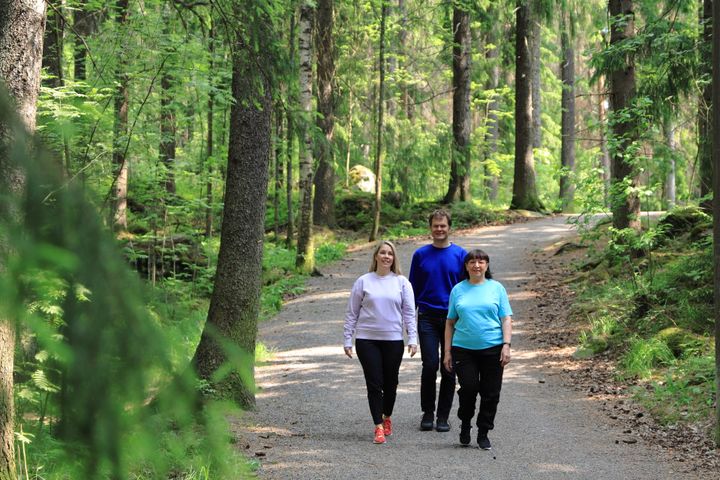 Kolme henkilöä kävelee metsäpolulla aurinkoisessa säässä.