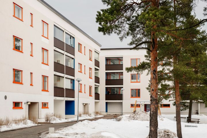 Hekan kohde Liusketie 9 Pihlajamäessä.