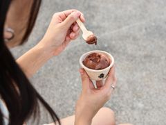 Solein-suklaajäätelö näyttää ja maistuu perinteiseltä suklaajäätelöltä. Solein korvaa jäätelössä maitoproteiinia, jonka myötä jäätelö muuttuu vegaaneillekin sopivaksi.
