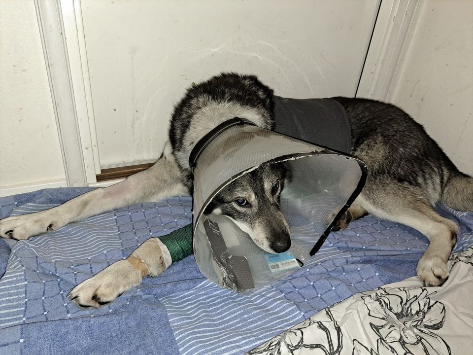 Tasmali rus ayollarining fotosuratlari