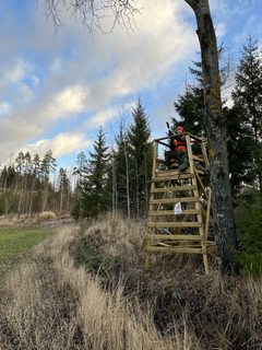Metsästäjä passitornissa.