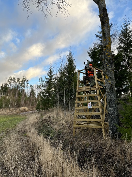 Metsästäjä passitornissa.