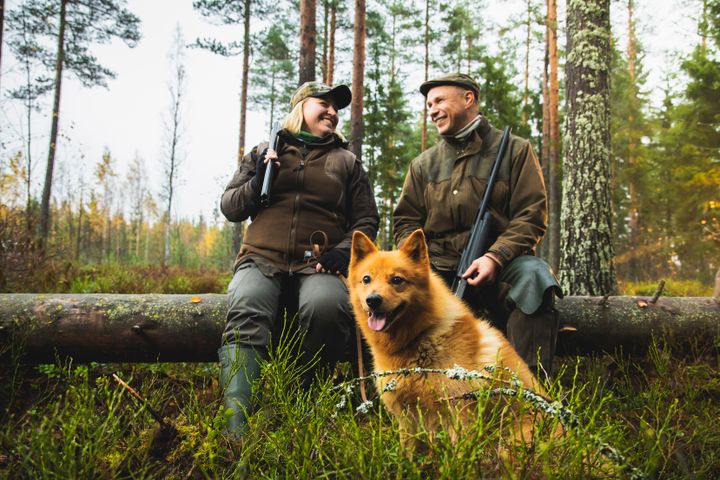 Nainen, mies ja suomenpystykorva tauolla metsässä.