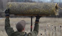 Mies asentamassa sorsan putkipesää.