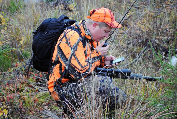 Hirvijahdissa oleva mies seuraa tilannetta puhelimen näytöltä ja puhuu radiopuhelimeen.