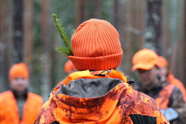 Saalista saaneelle laitetaan perinteen mukaan "havu hattuun".
