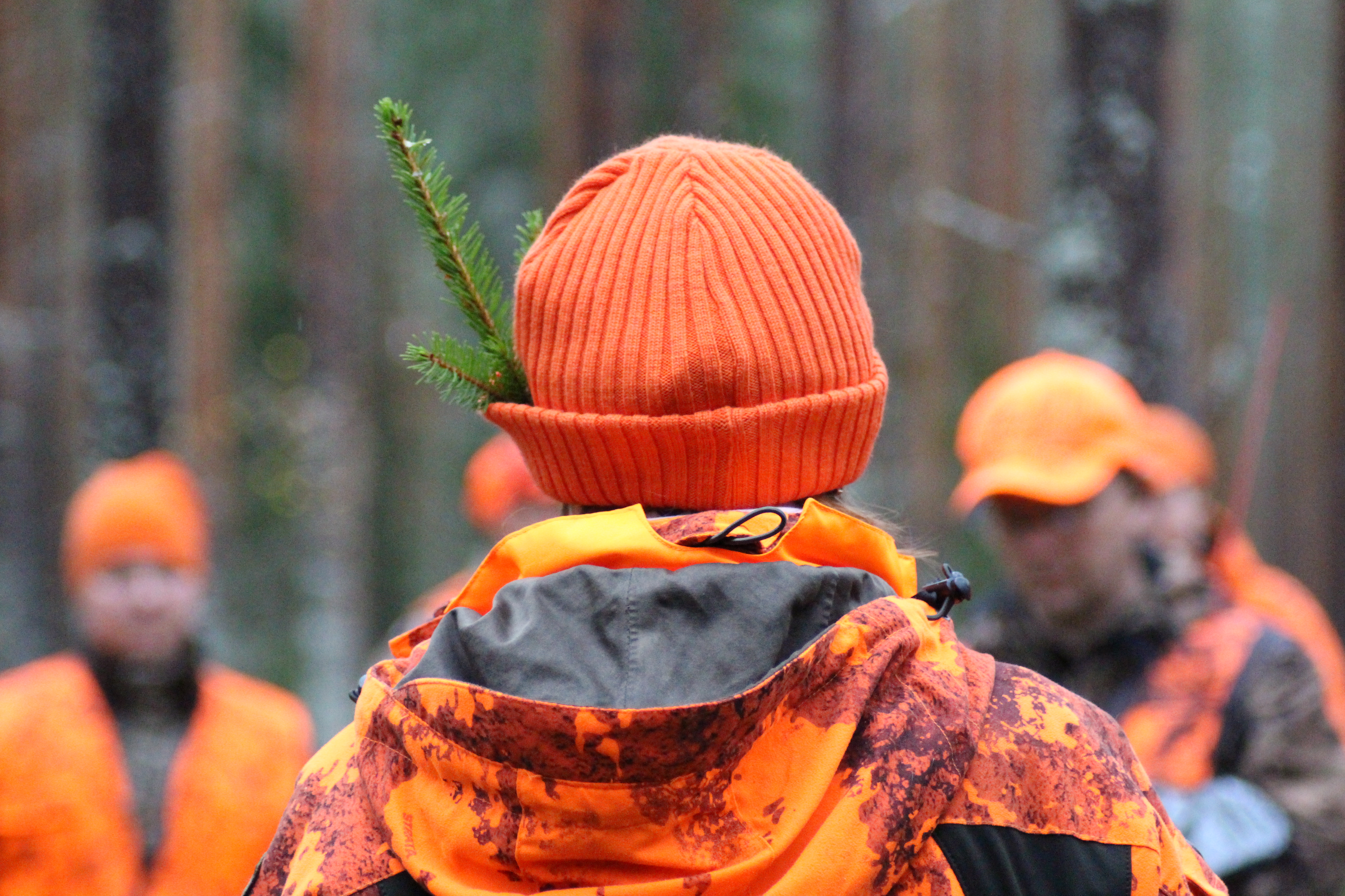 Nuorten hirvijahti järjestetään lokakuussa Kauhajoella