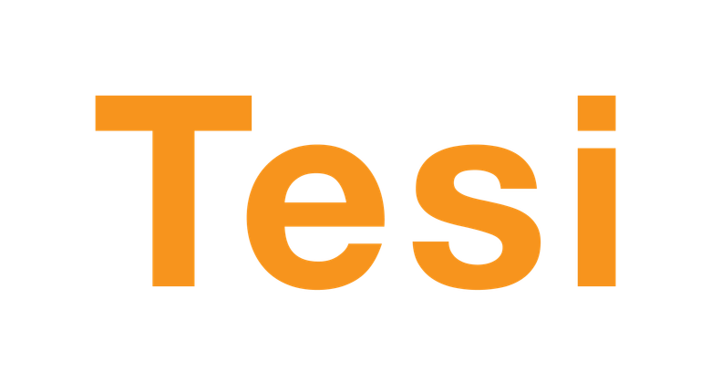 tesi logo oranssi