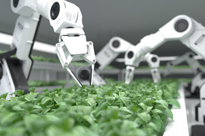 Finnish foodtech sector comprises a diverse range of companies representing various stages of the food production value chain.