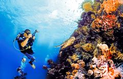 Hurghada tarjoaa upeita sukellus- ja snorklausmahdollisuuksia