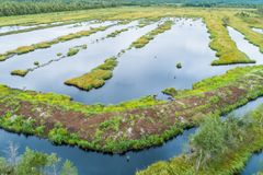 Korpinurmi våtmark färdigställd år 2021. Fotograf Petri Jauhiainen / Finlands viltcentral.