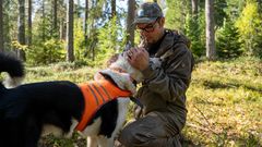 Koiralle tutkapanta ja huomioliivi Kuva Tero Salmela