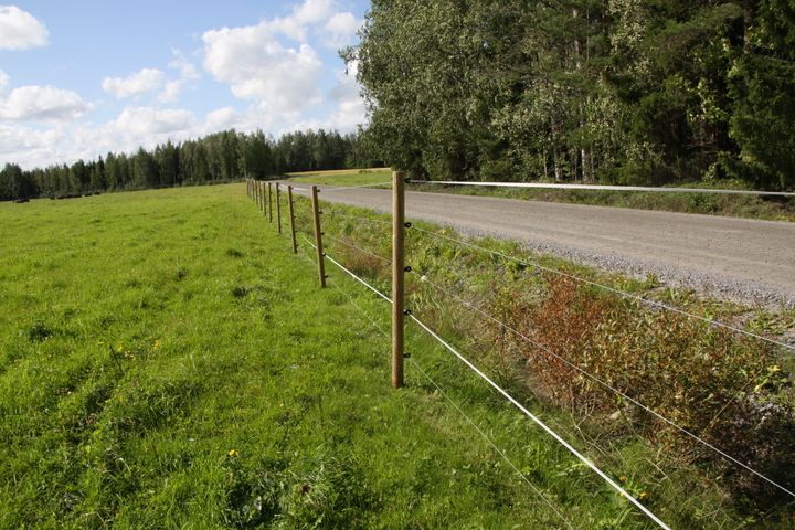 Rovdjursstängsel