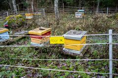 Elstängsel runt en biodling