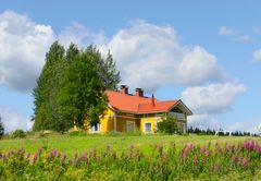 Keltainen omakotitalo sekä muutama puu keskellä kesäistä peltomaisemaa