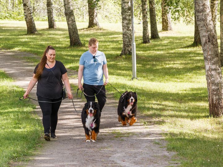 Ulvilassa voi nyt pyytää ja antaa apua muutamalla napin painalluksella Commu -sovelluksessa, esimerkiksi koiran ulkoilutukseen.