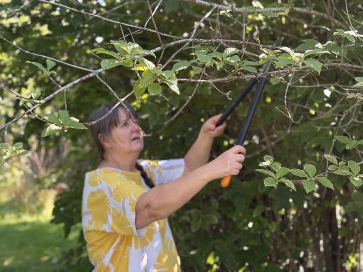 Commu-sovelluksen kautta on helppo pyytää apua syksyn talkoisiin ja tarjoutua auttamaan kun itselle sopii, esimerkiksi pihan laittamisessa talviteloille.