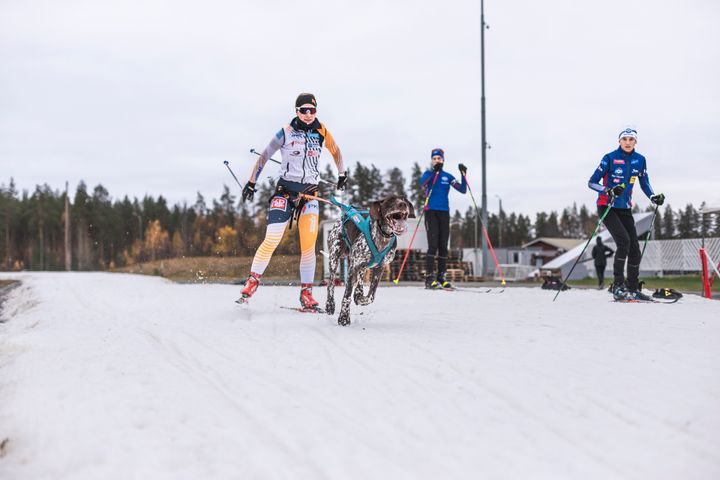 Kontiolahden ensilumenladulla on varattu vuoroja myös koirahiihtoon.