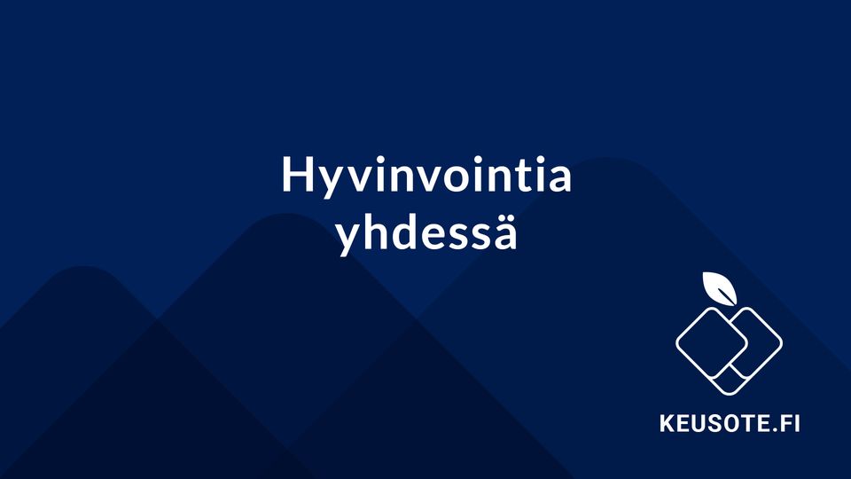 Hyvinvointialueen investointisuunnitelma vuosille 2025–28 ...