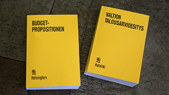 Valtion tulo- ja menoarvion painetusta kappaleesta käytetään perinteisesti lempinimeä "keltainen kirja".