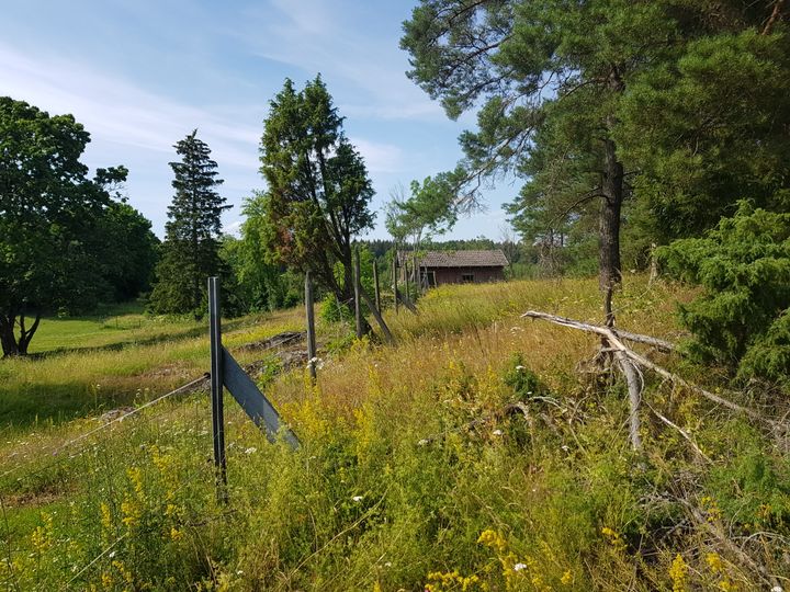 Ketomaisema, jota halkoo puinen aita.