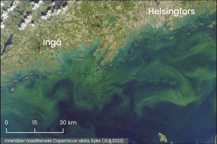 På satellitbilderna observerades ytblomning av blågrönalger söder om Helsingfors och Porkala udd onsdagen den 21 juni.