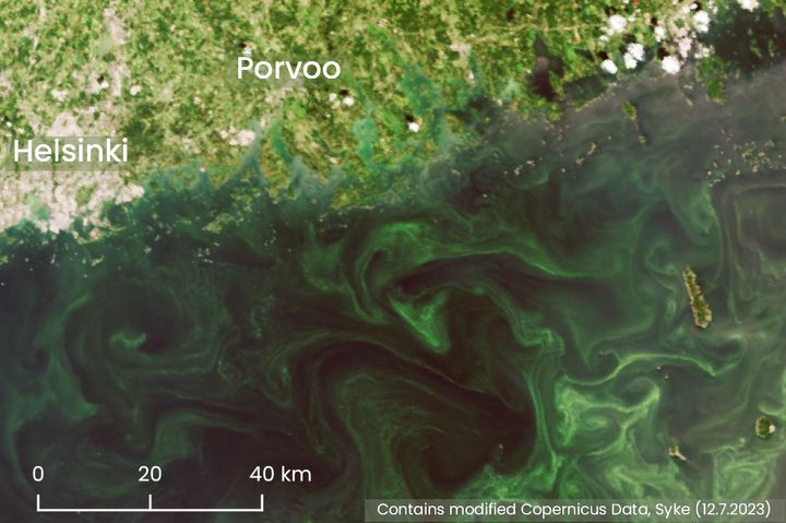 Blue-green algae surface blooms have been detected in satellite images in open sea areas, for example in the eastern parts of the Gulf of Finland.