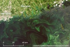 Blue-green algae surface blooms have been detected in satellite images in open sea areas, for example in the eastern parts of the Gulf of Finland.