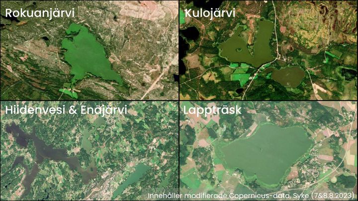 Blågrönalgsituationer som observerats med Sentinel-2-satellitbilder i sjöarna i norra Finland (Rokuanjärvi och Kulojärvi) och i sjöarna i södra Finland (Hiidenvesi, Enäjärvi och Lappträsk).