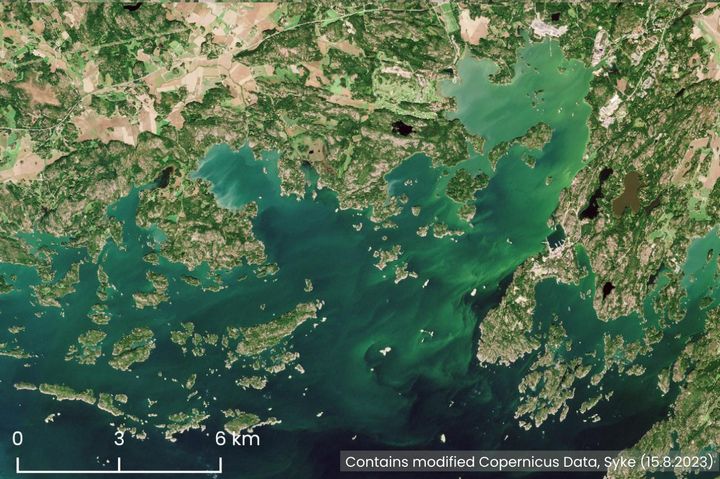 Satellite images showed blue-green algae west of Upinniemi on Tuesday 15 August 2023.