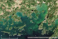 Satellite images showed blue-green algae west of Upinniemi on Tuesday 15 August 2023.