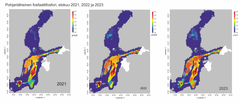 Fosfaattifosforin pitoisuudet pohjan lähellä Etelä-Itämereltä Perämerelle elokuussa 2021, 2022 ja 2023.
