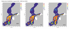 Fosfatfosforkoncentrationerna i det öppna havet rån södra Östersjön till Bottenviken i augusti 2021, 2022 och 2023.