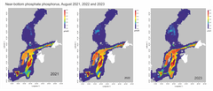 Phosphate phosphorus concentrations on the seafloor in the open sea from the southern Baltic Sea to the Bay of Bothnia in August 2021, 2022 and 2023.