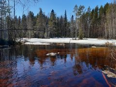 Järvimaisemassa erottuu Kovesjärven ruskehtava, tummunut avovesi ja lumen rippeet rannassa kevättalvella.