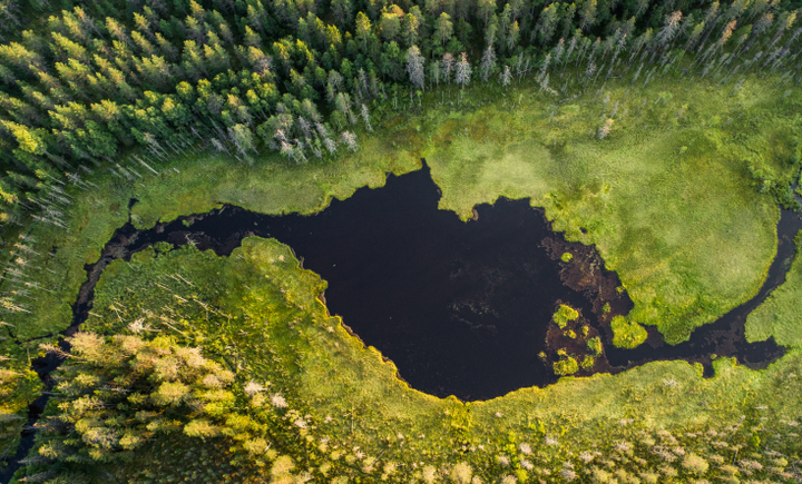 Ilmakuva metsässä olevasta lammesta.