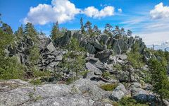 Skivformad kvartsitbergart i Luppovaara, Tervola, sydvästra Lappland.