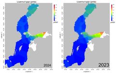Figure 4 Nitrogen nutrient concentration (micromoles per litre) of surface layer in the Baltic Sea, winter period 2024 and 2023.